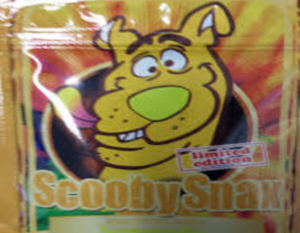 Achetez Scooby Snax (15 g) en ligne, encens à base de plantes de qualité supérieure